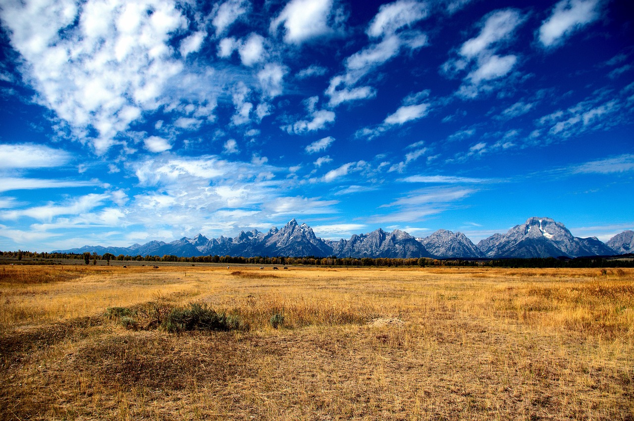 The Best Scenic Hikes in Grand Teton National Park